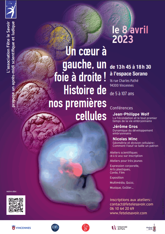 La première cellule 