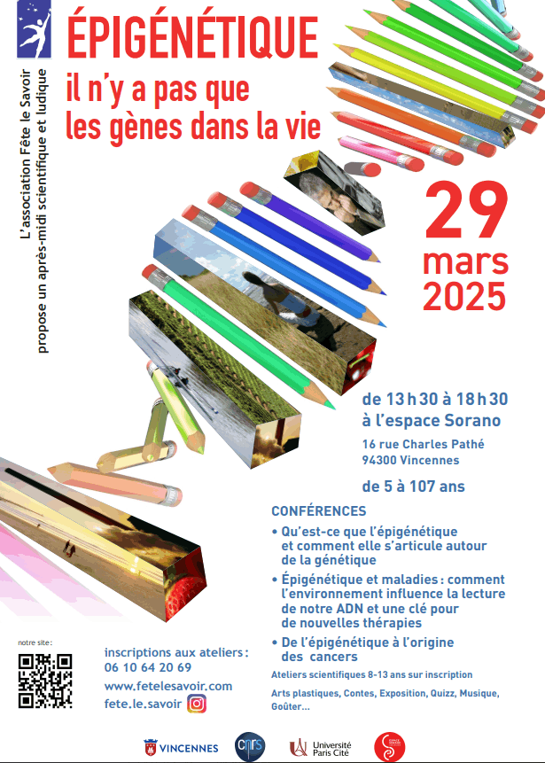 La première cellule 